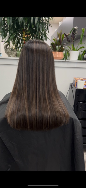 Hair Style 23